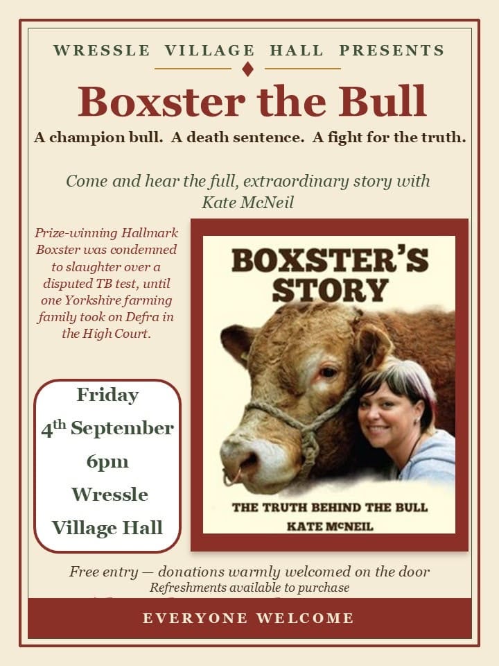 Boxsterbull
