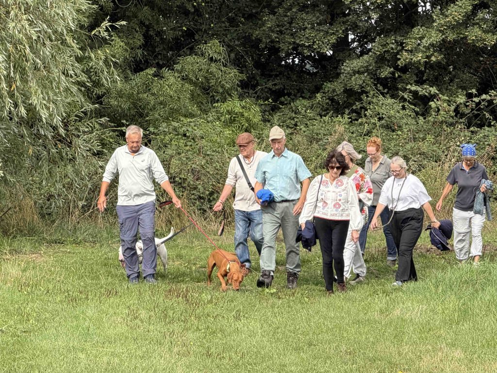 walk image 2